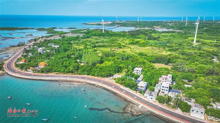 高空俯瞰海南环岛旅游公路儋州火山海岸段。海南日报全媒体记者 张茂 摄